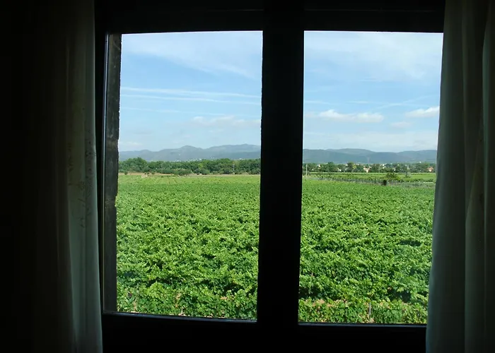 Restaurant El Bosc Landsted Banyeres del Penedes