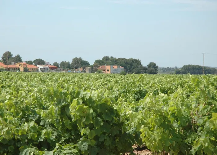 Restaurant El Bosc Banyeres del Penedes
