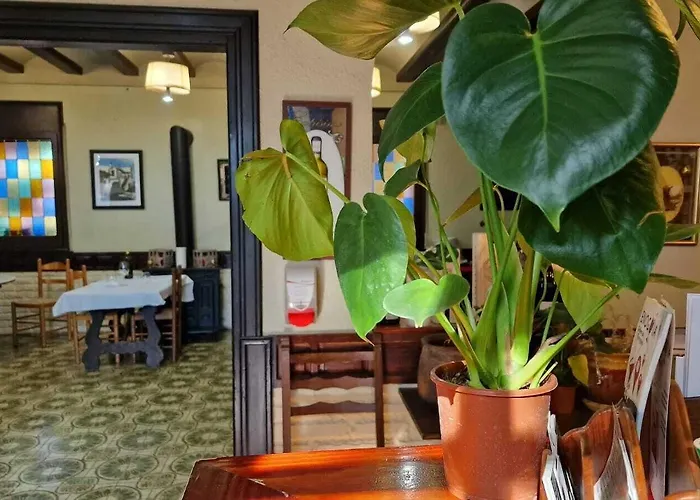 Restaurant El Bosc *