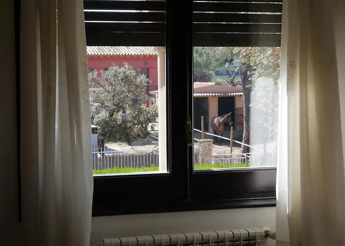 Restaurant El Bosc