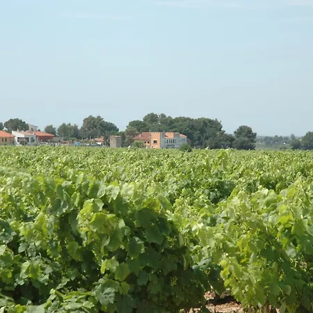 埃尔博斯克餐厅酒店 Banyeres del Penedes