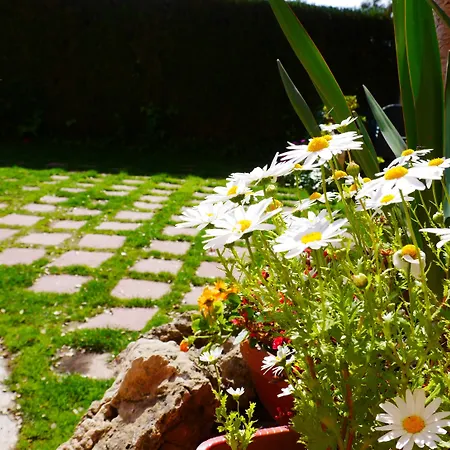 埃尔博斯克餐厅酒店 乡村民宿 Banyeres del Penedes